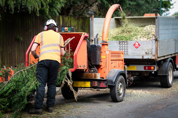 Best Tree Health Inspection  in Union City, GA