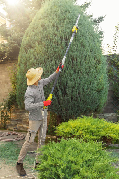 Best Tree Risk Assessment  in Union City, GA